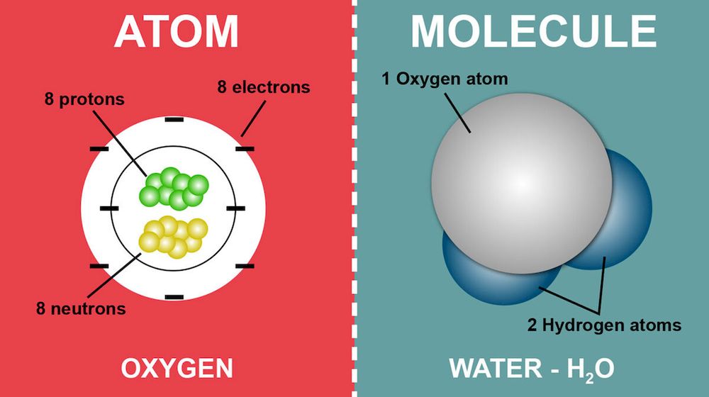 5. Sự khác nhau giữa hợp chất và phân tử là gì?