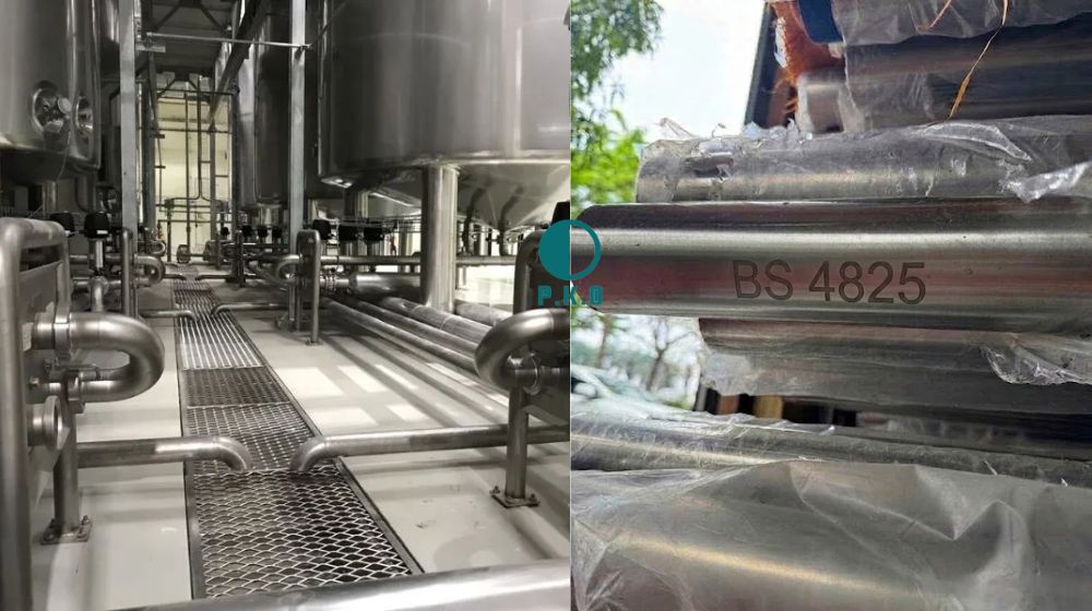 ống vi sinh bs là gì